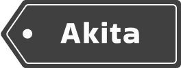 akita